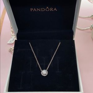 Pandora Necklace